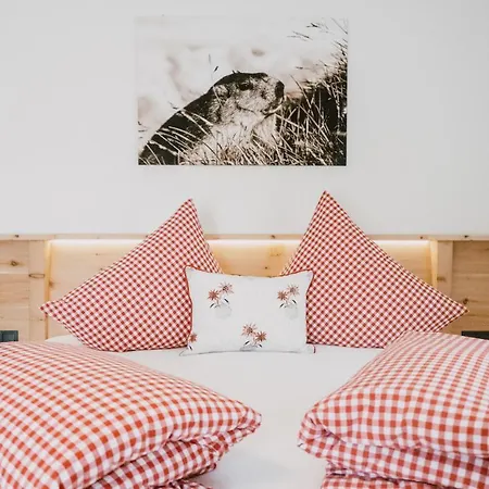 Gasthuis Nedererhof - Edelweiss Mit Gemeinschaftskueche Schmirn