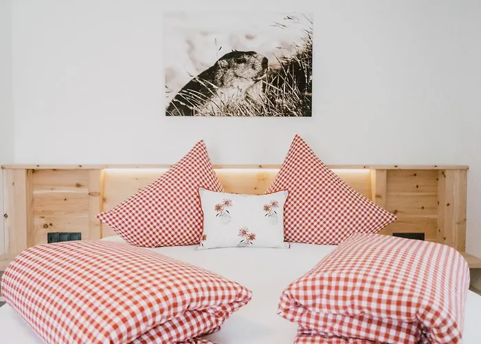 Gasthuis Nedererhof - Edelweiss Mit Gemeinschaftskueche Schmirn